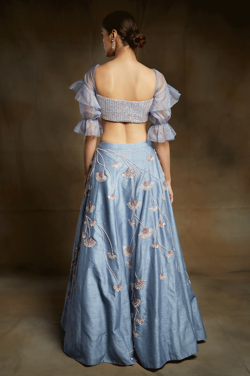 Ice Blue Embroidered Lehenga With Embroidered Blouse With Sleeves