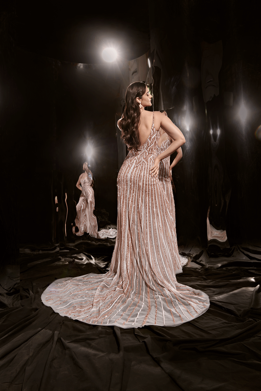 Silver Embroidered Gown With Trail
