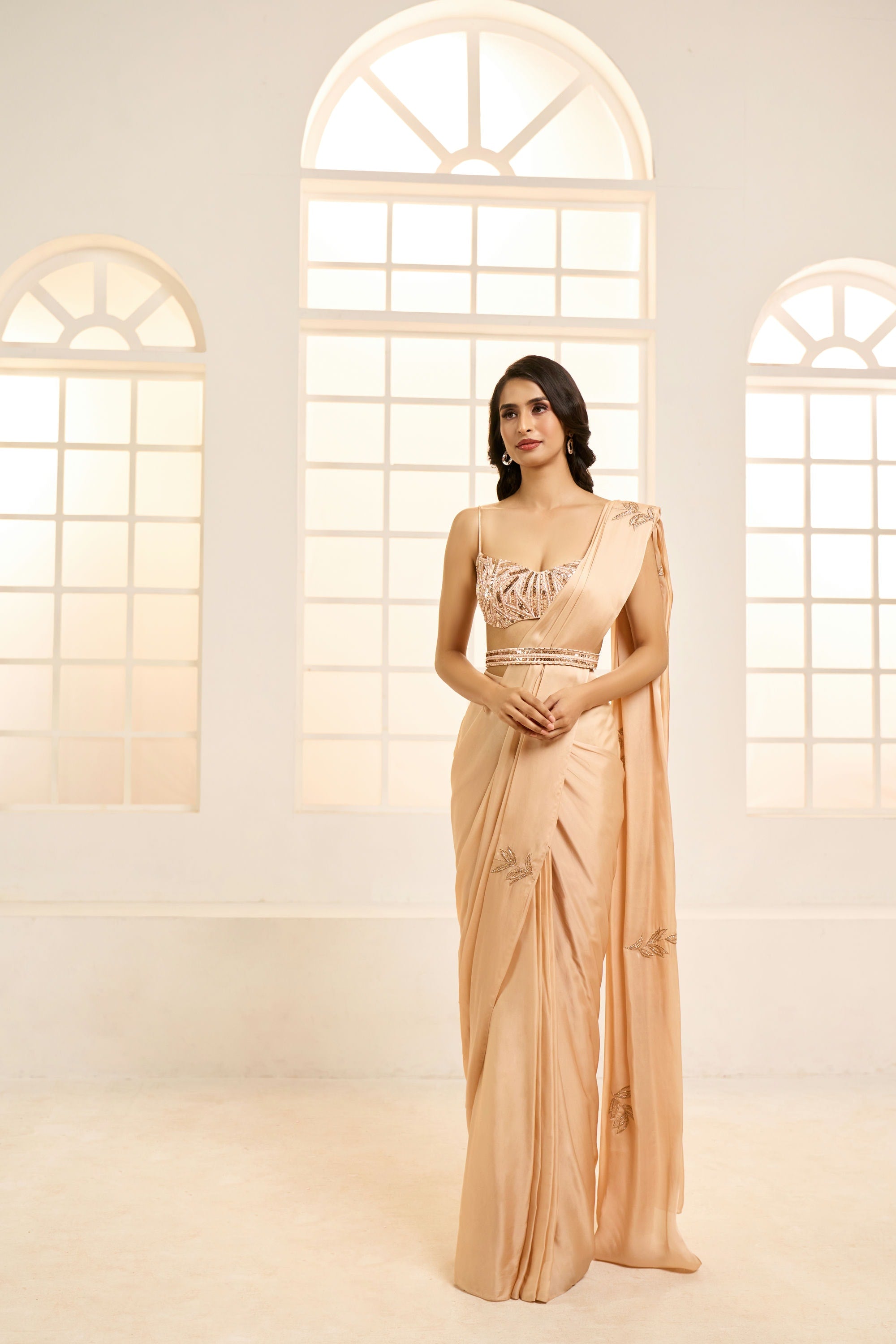 Beige Embroidered Saree Set with Embroidery Belt