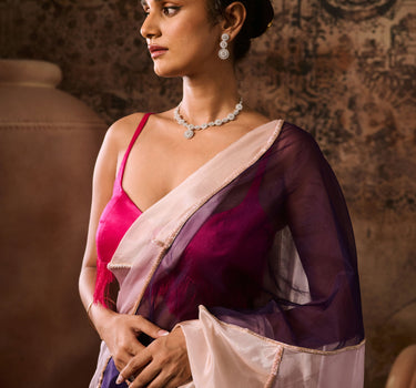 Hot pink blouse with multicoloured saree