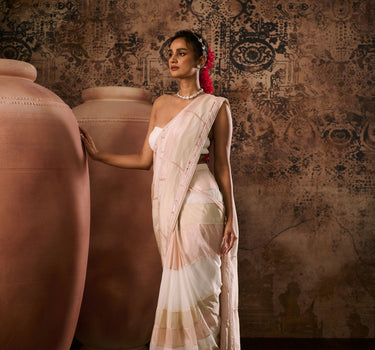 White blouse with tissue embroidered saree