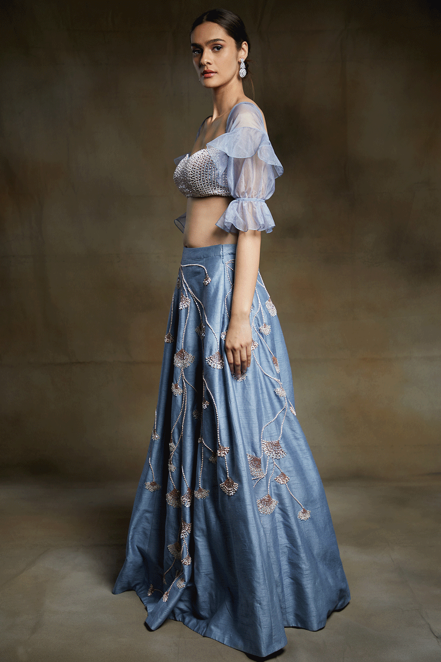 Ice Blue Embroidered Lehenga With Embroidered Blouse With Sleeves