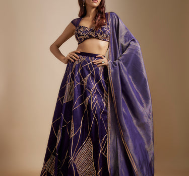 Deep Purple Embroidered Lehenga Set