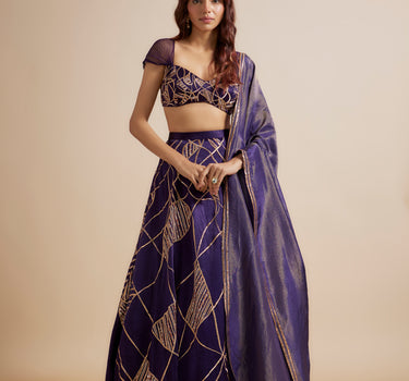 Deep Purple Embroidered Lehenga Set