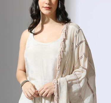 BEIGE TISSUE EMBROIDERED KURTA SET